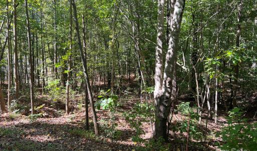 Photo #7 of Nablus, Waxhaw, NC