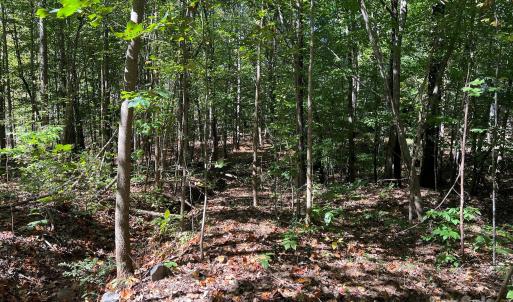 Photo #9 of Nablus, Waxhaw, NC