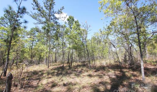 Photo #17 of TBD Queens Cove, Carthage, NC