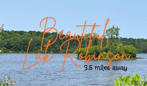 Photo #18 of Ruby, Hartsville, SC