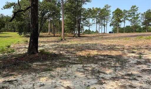 Photo #3 of Ruby, Hartsville, SC