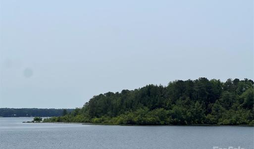 Photo #23 of Ruby, Hartsville, SC