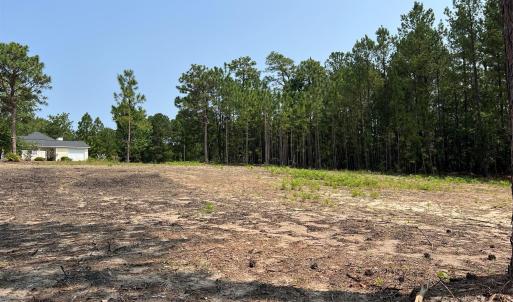 Photo #16 of Ruby, Hartsville, SC