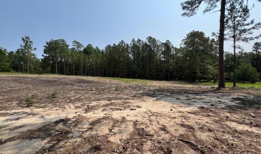 Photo #12 of Ruby, Hartsville, SC