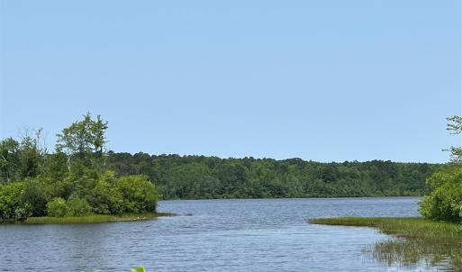 Photo #21 of Ruby, Hartsville, SC