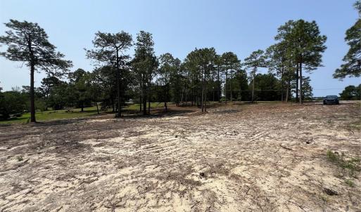 Photo #2 of Ruby, Hartsville, SC