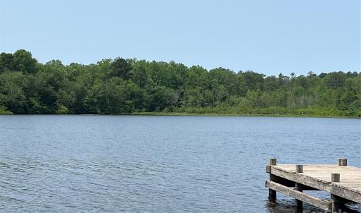 Photo #20 of Ruby, Hartsville, SC