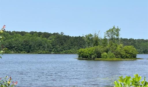 Photo #22 of Ruby, Hartsville, SC