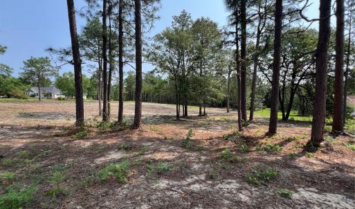 Photo #14 of Ruby, Hartsville, SC