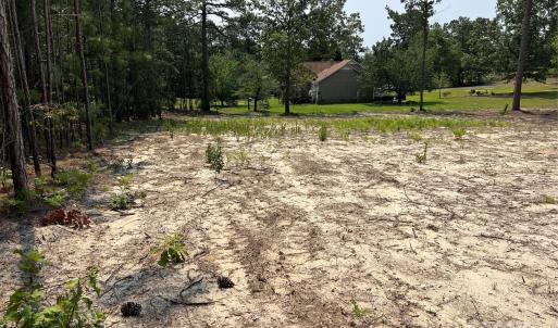 Photo #5 of Ruby, Hartsville, SC