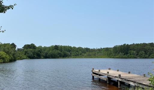 Photo #19 of Ruby, Hartsville, SC