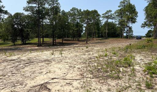 Photo #4 of Ruby, Hartsville, SC