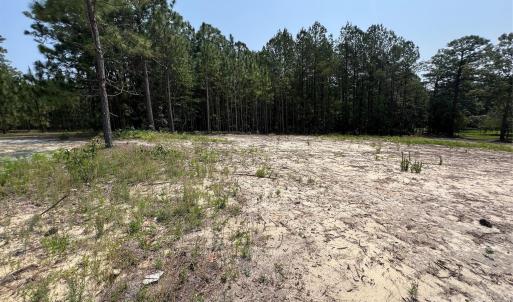 Photo #1 of Ruby, Hartsville, SC