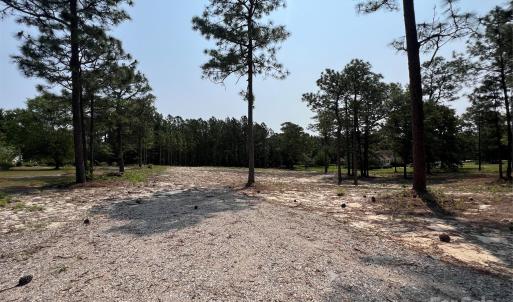 Photo #13 of Ruby, Hartsville, SC