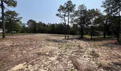 Photo #10 of Ruby, Hartsville, SC