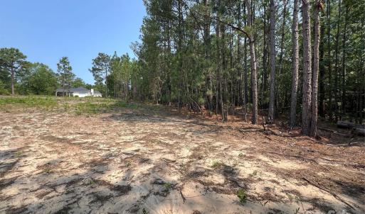 Photo #6 of Ruby, Hartsville, SC