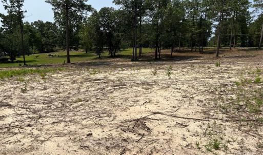 Photo #7 of Ruby, Hartsville, SC