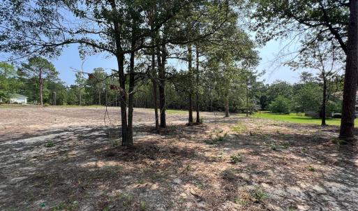 Photo #15 of Ruby, Hartsville, SC