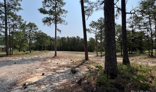 Photo #17 of Ruby, Hartsville, SC