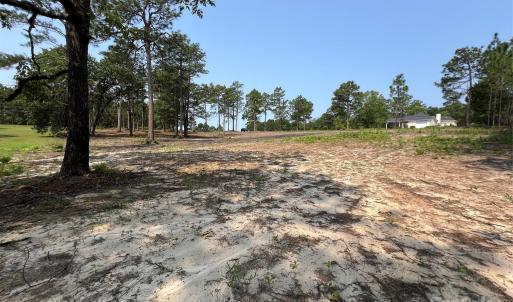 Photo #8 of Ruby, Hartsville, SC