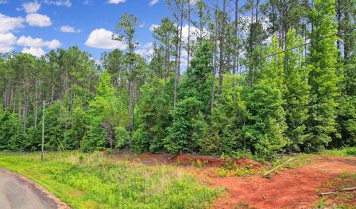 Photo #13 of Lot 10 Goings, Chester, SC