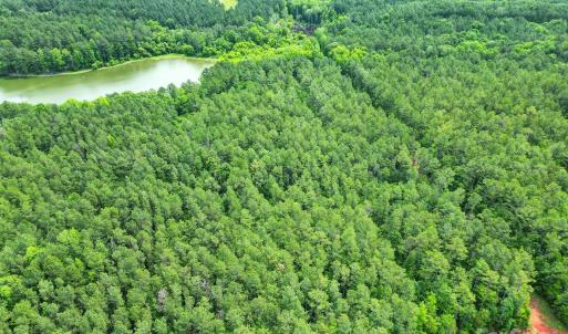 Photo #5 of Lot 10 Goings, Chester, SC