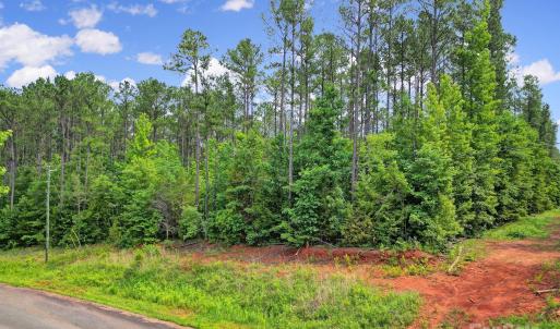 Photo #14 of Lot 10 Goings, Chester, SC