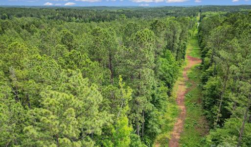 Photo #9 of Lot 10 Goings, Chester, SC