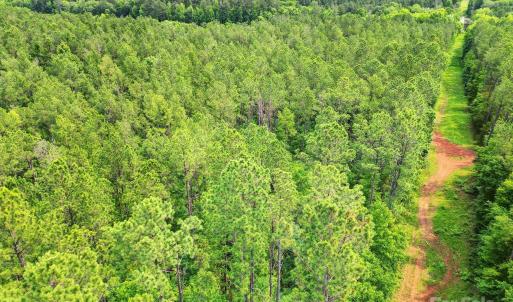 Photo #10 of Lot 10 Goings, Chester, SC