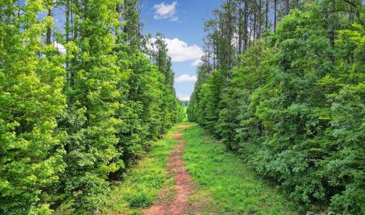 Photo #8 of Lot 10 Goings, Chester, SC