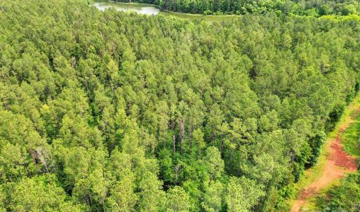 Photo #11 of Lot 10 Goings, Chester, SC