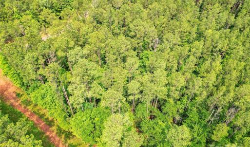 Photo #12 of Lot 10 Goings, Chester, SC