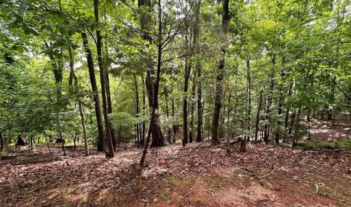 Photo #4 of 16086 Heron Run, Fort Mill, SC