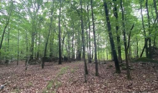 Photo #14 of 5410 A R Gordon, Waxhaw, NC