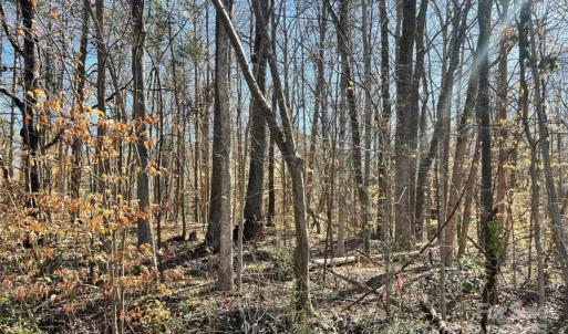 Photo #2 of 01 Lurecliff, Fort Mill, SC