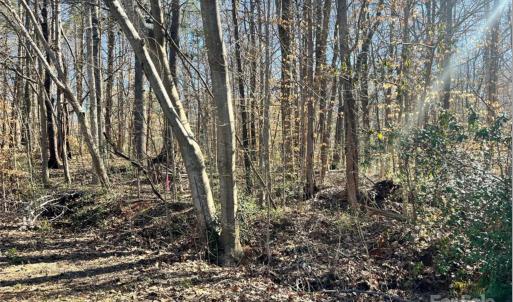 Photo #1 of 01 Lurecliff, Fort Mill, SC