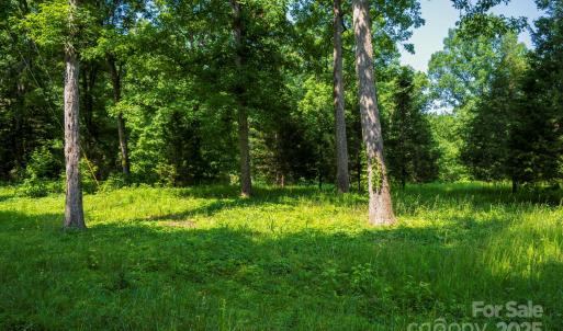 Photo #8 of lot 33 Valley Farm, Waxhaw, NC