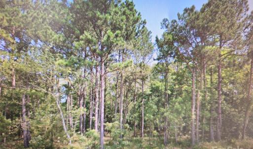 Photo #1 of TBD Flat Creek, Lancaster, SC