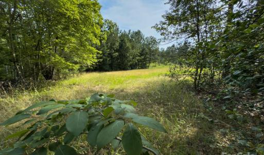 Photo #30 of Chip, Mount Gilead, NC