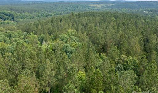 Photo #27 of Chip, Mount Gilead, NC