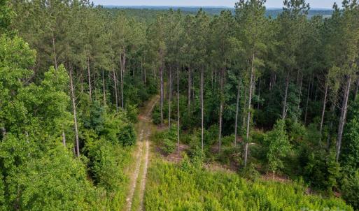 Photo #11 of Chip, Mount Gilead, NC