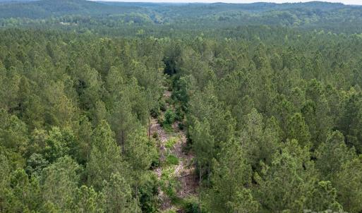 Photo #28 of Chip, Mount Gilead, NC