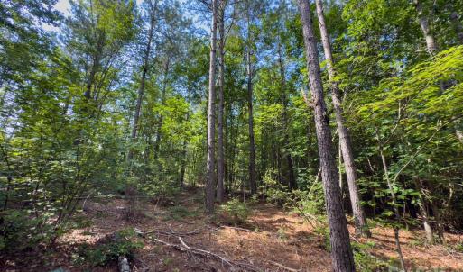 Photo #31 of Chip, Mount Gilead, NC