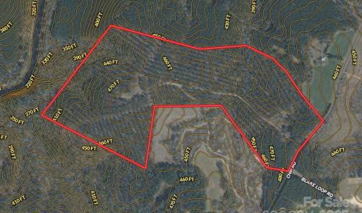 Photo #45 of Chip, Mount Gilead, NC