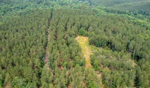 Photo #1 of Chip, Mount Gilead, NC