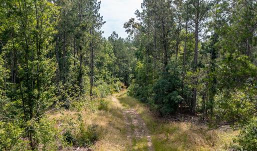 Photo #17 of Chip, Mount Gilead, NC