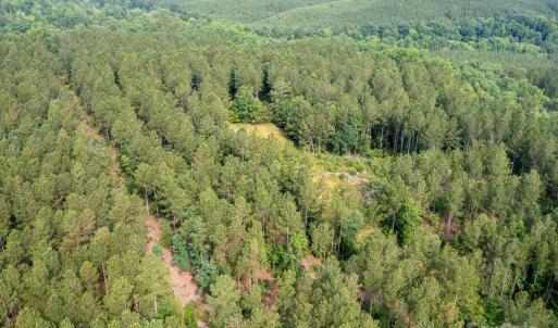 Photo #41 of Chip, Mount Gilead, NC