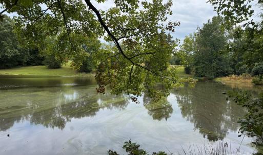 Photo #4 of 357 Pendergrass, York, SC