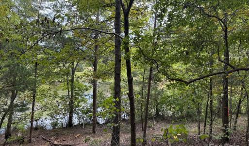 Photo #3 of 357 Pendergrass, York, SC