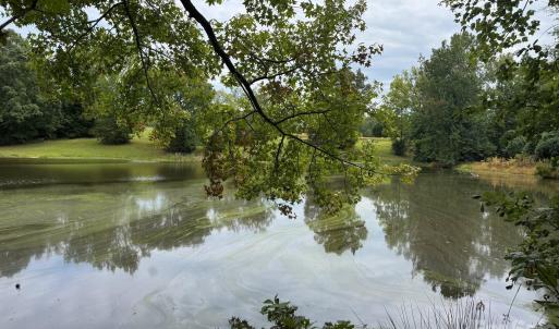 Photo #3 of 357 Pendergrass, York, SC